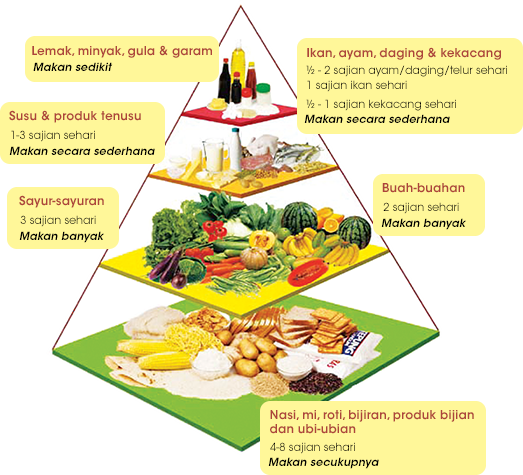 Image result for PIRAMID MAKANAN